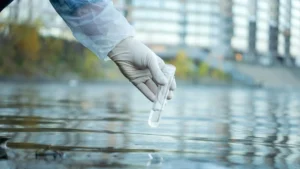 La bacteria descubierta en un lago que “come” microplásticos