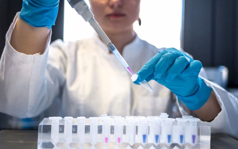 Experimentos de memoria